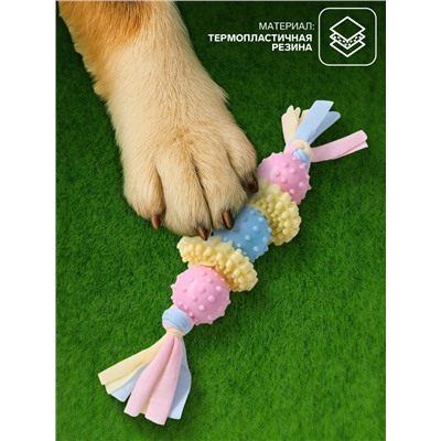 Игрушка жевательная Пижон Premium на верёвке, 5 элементов, термопластичная резина, МИКС