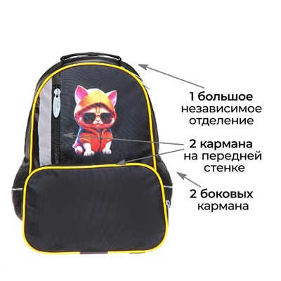 Рюкзак школьный, эргономичная спинка, 37×26×13 см «Крутой кот»