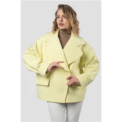 01-12236 Пальто женское демисезонное