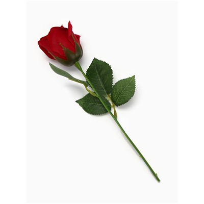 Мыльная роза бордо в коробке