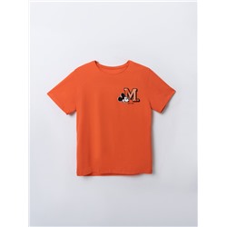 ФУТБОЛКА ДЛЯ МАЛЬЧИКОВ 113432