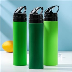 Бутылка для воды «Сайли», 450 мл (корпус из силикона), цвет МИКС