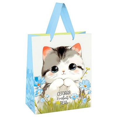 Пакет бумажный 18х23х10 см "Милый котенок" мат. лам. MS_66121 (382262) MESHU