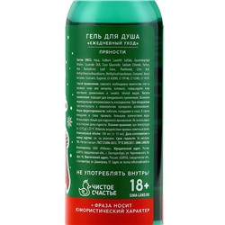 Гель для душа ЧИСТОЕ СЧАСТЬЕ «Для трёх лиц», 100 мл, аромат пряности, 18+, Новый Год