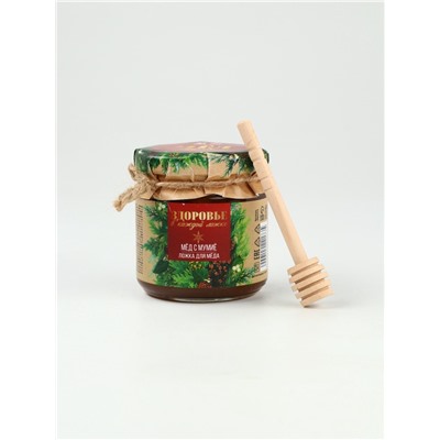 Мёд с мумиё «Здоровье в каждой ложке», новогодний подарок