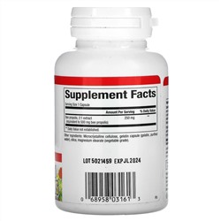 Natural Factors, пчелиный прополис, 500 мг, 90 капсул