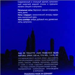 Туалетная вода мужская RM San Francisco Blue, 100 мл