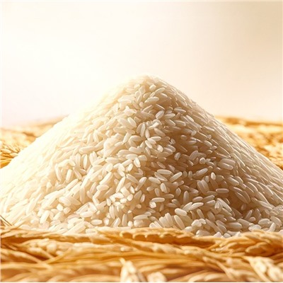 Основа под макияж 3 в 1 с экстрактом Риса, Гиалуроновой кислотой и Скваланом Bioaqua, 40 гр.