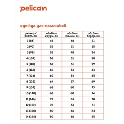 BFTP4321/1 (Футболка для мальчика, Pelican )