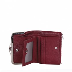 Кошелек 21078Z Pratero