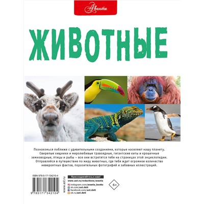 АСТ Д. Джонсон, К. Энн, С. Паркер "Животные"