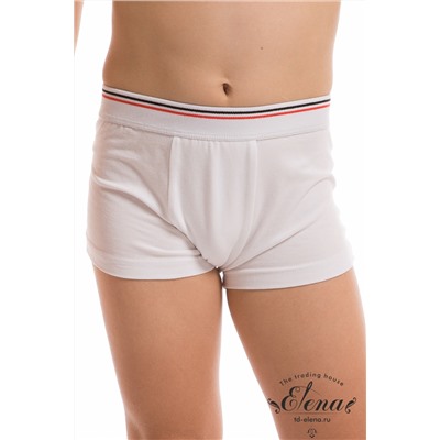 Боксеры М21827б