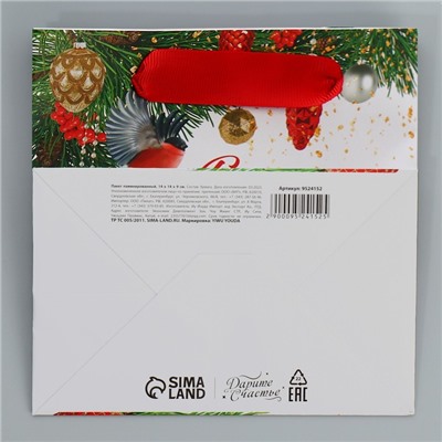 Пакет подарочный новогодний ламинированный квадратный «Яркие краски», 14×14×9 см