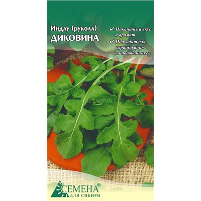Индау (рукола) Диковина, 0,3г (цв.)