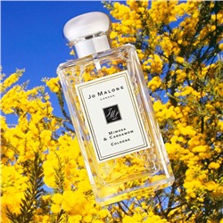 Jo Malone Mimosa And Cardamom