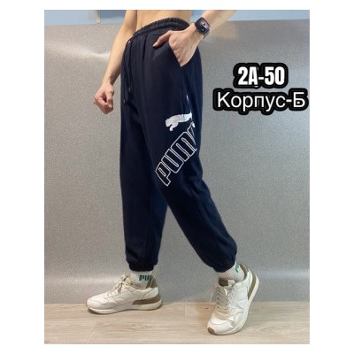Спортивные брюки #22798874