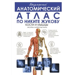 АСТ Жуков Никита Эдуардович "Популярный анатомический атлас по Никите Жукову: кости и мышцы. Инсайты и интересные факты"