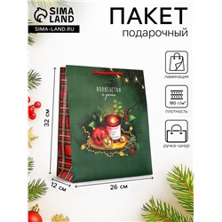Пакет подарочный новогодний ламинированный, «Волшебства и уюта», 26×12×32 см