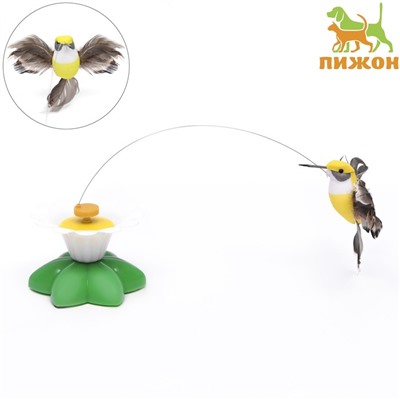 Интерактивная игрушка-дразнилка для кошек «Колибри»