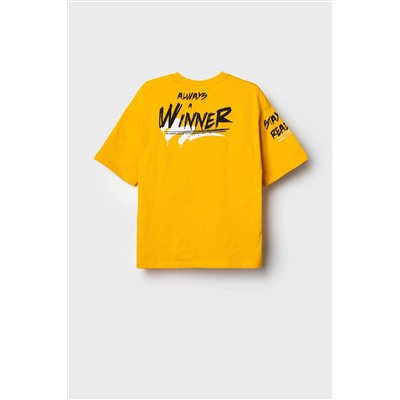 Фуфайка трикотажная для мальчиков (футболка) PLAYTODAY, 1241078