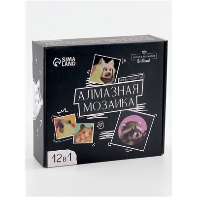 УЦЕНКА Набор алмазная мозаика 12 в1 «Мемы»