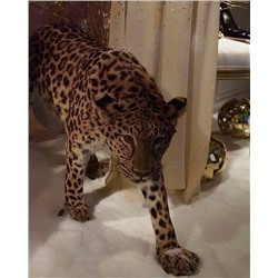 Костюм #22907413
