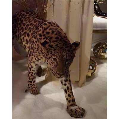 Костюм #22907413