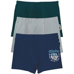3390 Боксеры для мальчика многоцвет (BAYKAR)
