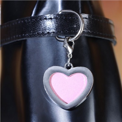 Адресник под записку «Сердечко», 3×3 см, металл, серебристый