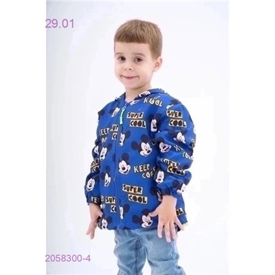 ветровка 2058300-4