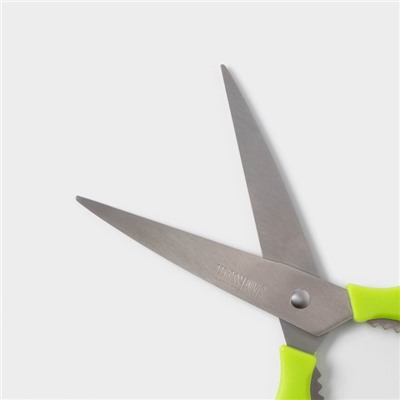 Ножницы кухонные Доляна «Саймон», 23 см, зелёные