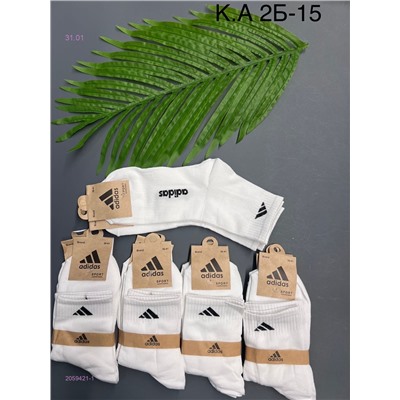 носки 10шт 2059421-1