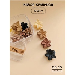 Набор крабиков для волос в боксе (10 шт)