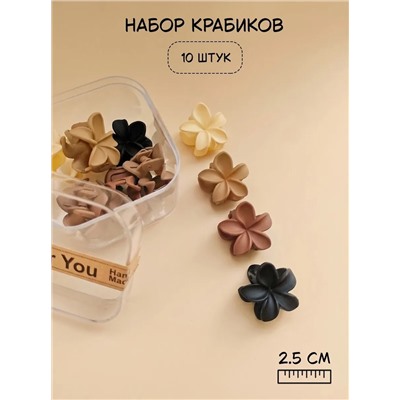 Набор крабиков для волос в боксе (10 шт)