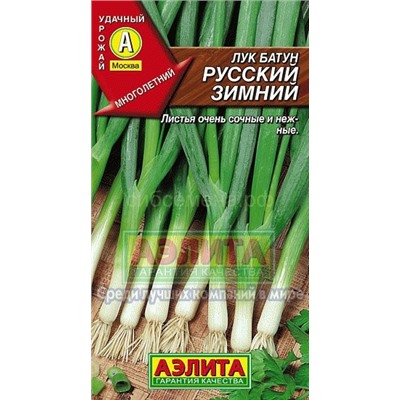 Лук  батун Русский зимний (Аэлита)