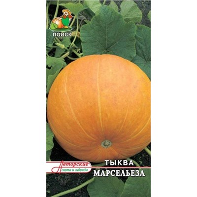Тыква Марсельеза (Код: 16917)