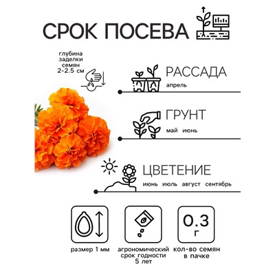 Семена цветов Бархатцы прямостоячие «Оранжевый принц», 0.3 г