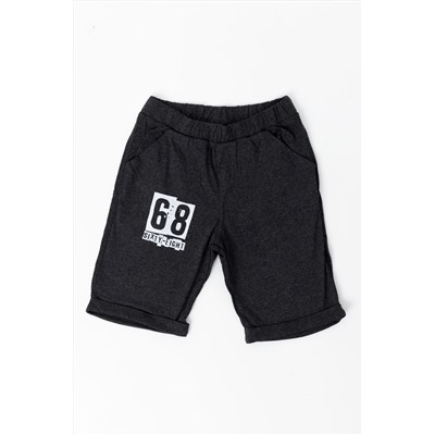 Шорты М21736Пт