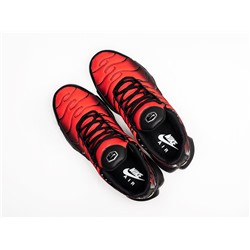 Кроссовки Nike Air Max Plus TN
