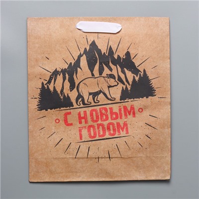 Пакет подарочный новогодний крафтовый «С Новым годом», M 26×30×9 см