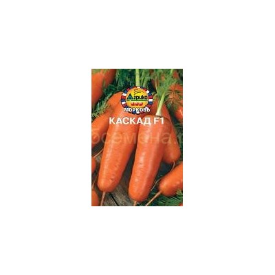 Морковь Каскад (гр)
