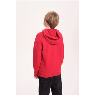 PELICAN Толстовка UFNK3371