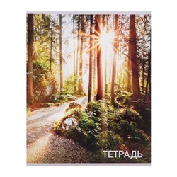 Набор тетрадей, 96 листов в клетку, Calligrata «Природа», серые листы, 4 штуки