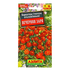 Семена цветов Бархатцы Вечерняя заря отклоненные , Ц/П,0,3 г