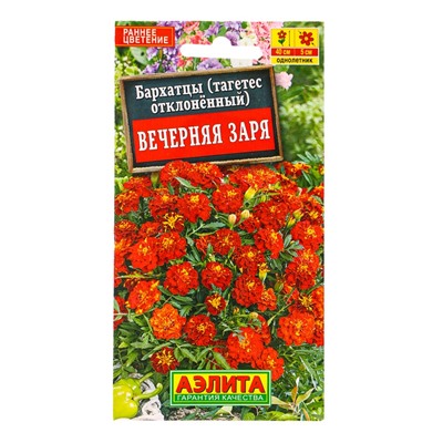 Семена цветов Бархатцы Вечерняя заря отклоненные , Ц/П,0,3 г