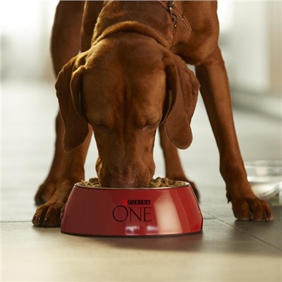 Сухой корм Purina One medium/maxi для взрослых собак ягненок/рис, 10 кг