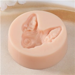 Молд силикон "Сфинкс 2" 5,6х6,5х2,4 см