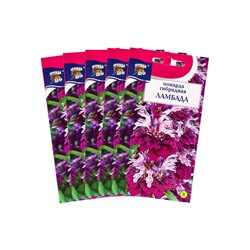 Набор семян Монарда гибридная "Ламбада", 5 шт.