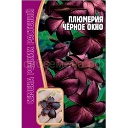 Плюмерия Черное окно (Редкие)