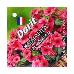 Семена цветов Катарантус "Тату Малина", 5 шт